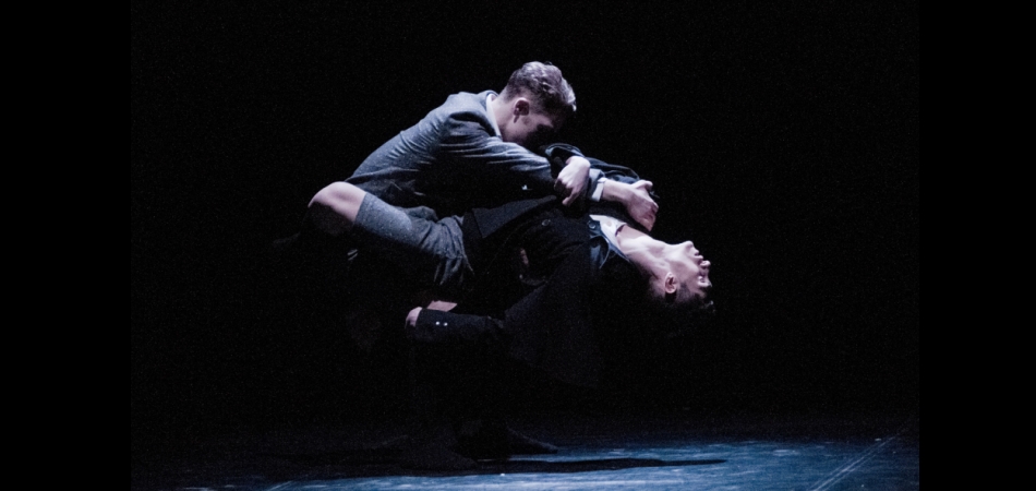 La boule de neige 1985/2013