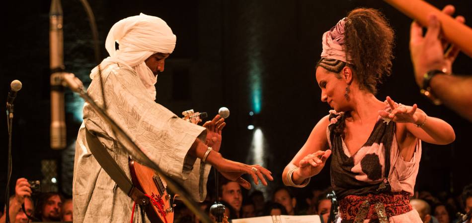 Festival au désert 2014