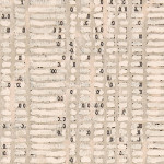 NO RISING NOR FALLING