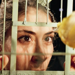 ASDDD Another Sleepy Dusty Delta Day