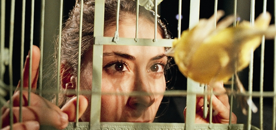 ASDDD Another Sleepy Dusty Delta Day