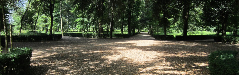 Cascine Park in Florence – Le Otto Viottole | IT
