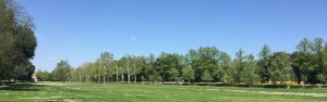 Prato del Quercione – Parco delle Cascine di Firenze | IT