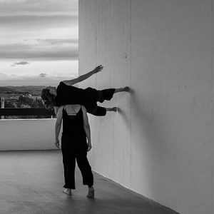 moco movement collective
