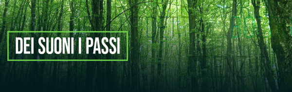 Dei suoni i passi 2026